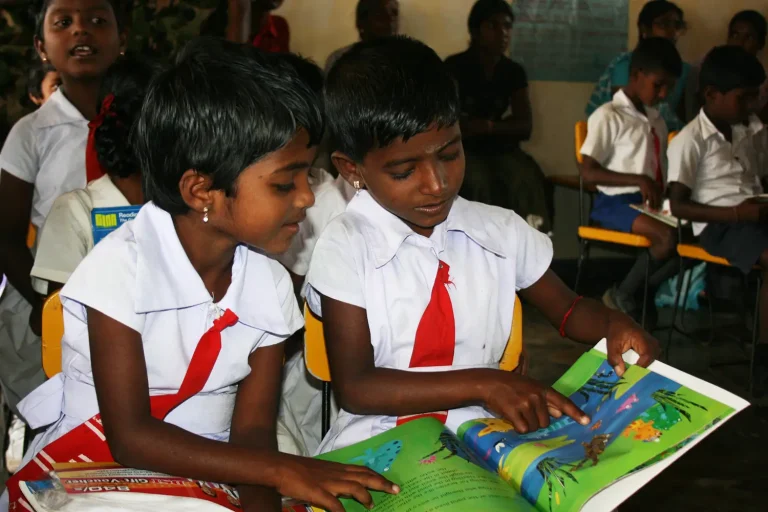 Environmental Plantation Programs